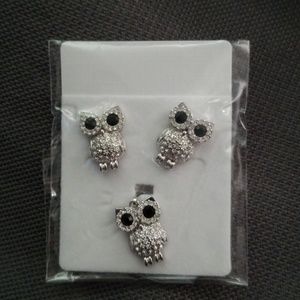 Swavarski Owl Earrings and Necklace